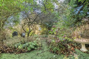 Photo 14- click for photo gallery